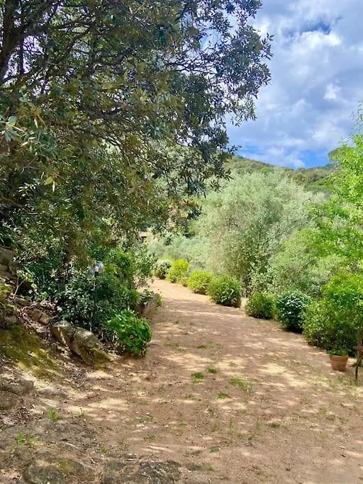 Al Torrino Casa Del 1800 Villa Capoterra 0*,