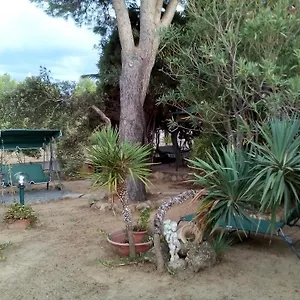  Bed and breakfast Il Vigneto
